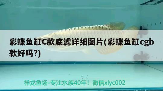 彩蝶魚缸C款底濾詳細(xì)圖片(彩蝶魚缸cgb款好嗎?)