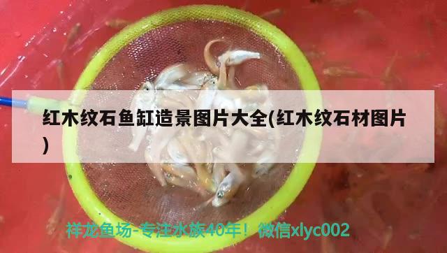 紅木紋石魚缸造景圖片大全(紅木紋石材圖片) 魚缸風水