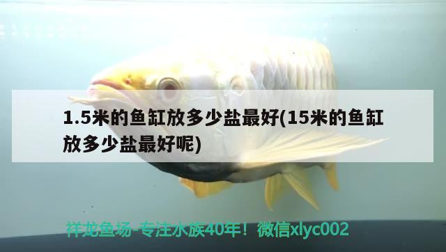 1.5米的魚(yú)缸放多少鹽最好(15米的魚(yú)缸放多少鹽最好呢) 祥龍水族濾材/器材