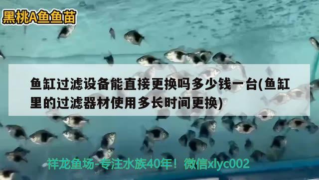 魚缸過濾設(shè)備能直接更換嗎多少錢一臺(魚缸里的過濾器材使用多長時間更換)