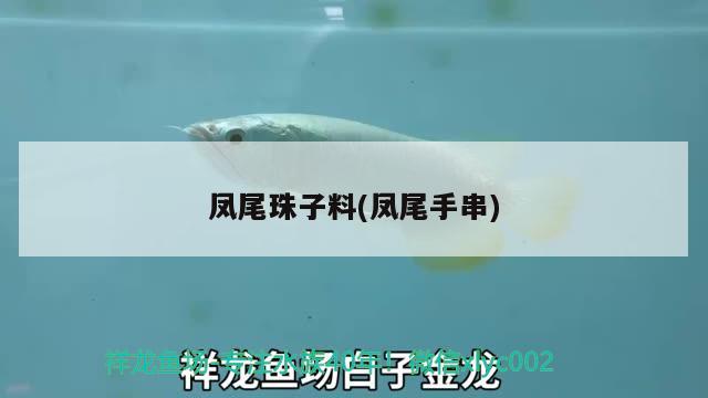 鳳尾珠子料(鳳尾手串) 觀賞魚