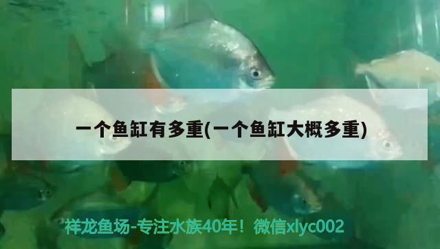 一個魚缸有多重(一個魚缸大概多重)