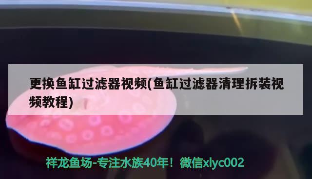 更換魚缸過濾器視頻(魚缸過濾器清理拆裝視頻教程) 藍帆三間魚