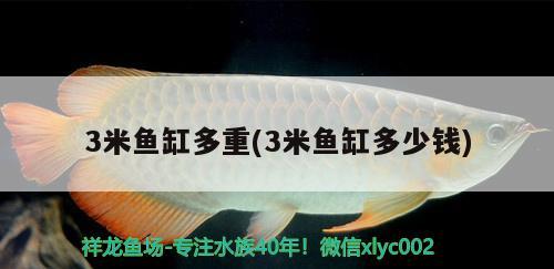 3米魚缸多重(3米魚缸多少錢) 沖氧泵