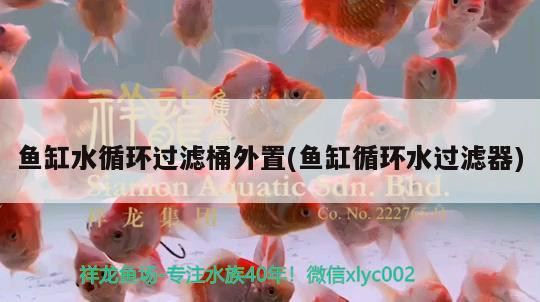 魚缸水循環(huán)過濾桶外置(魚缸循環(huán)水過濾器)