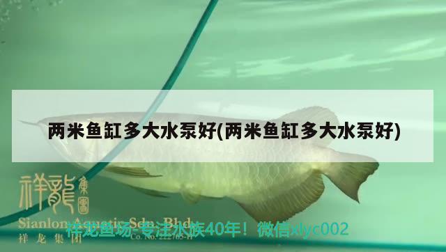 兩米魚缸多大水泵好(兩米魚缸多大水泵好)