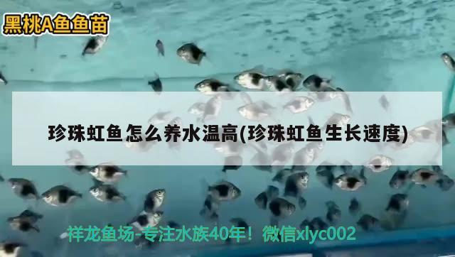 珍珠虹魚怎么養(yǎng)水溫高(珍珠虹魚生長(zhǎng)速度)