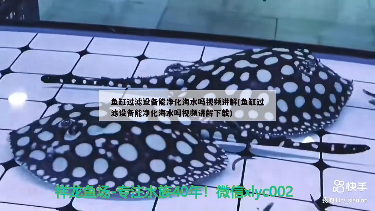 魚缸過濾設備能凈化海水嗎視頻講解(魚缸過濾設備能凈化海水嗎視頻講解下載)