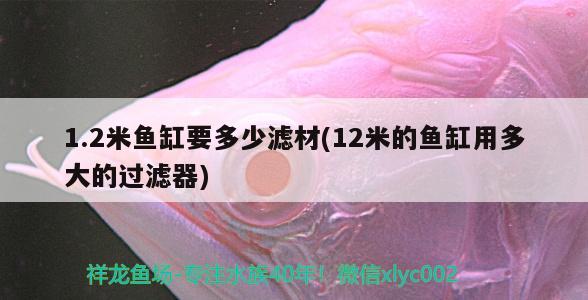 1.2米魚(yú)缸要多少濾材(12米的魚(yú)缸用多大的過(guò)濾器) 雪龍魚(yú)