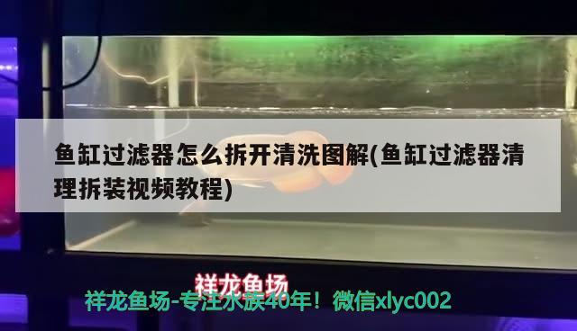 魚缸過濾器怎么拆開清洗圖解(魚缸過濾器清理拆裝視頻教程) 2024第28屆中國國際寵物水族展覽會CIPS（長城寵物展2024 CIPS）