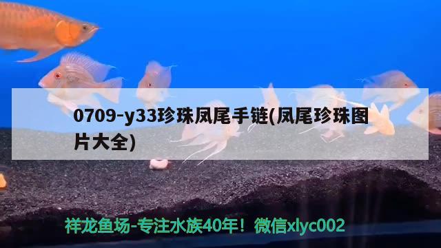 0709-y33珍珠鳳尾手鏈(鳳尾珍珠圖片大全)