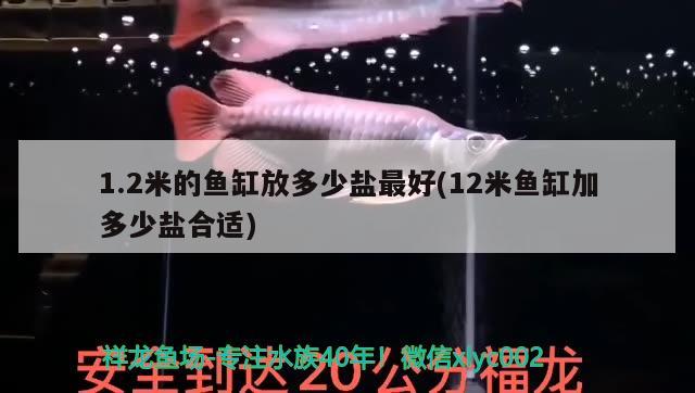 1.2米的魚缸放多少鹽最好(12米魚缸加多少鹽合適)