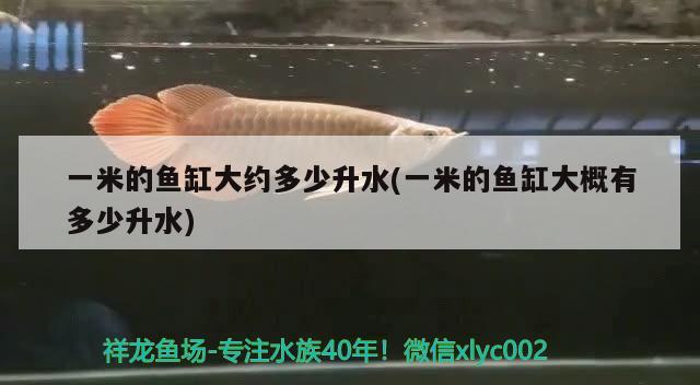 一米的魚缸大約多少升水(一米的魚缸大概有多少升水)