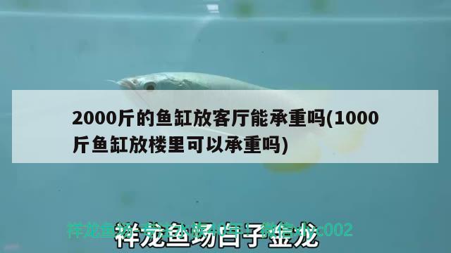 2000斤的魚缸放客廳能承重嗎(1000斤魚缸放樓里可以承重嗎)