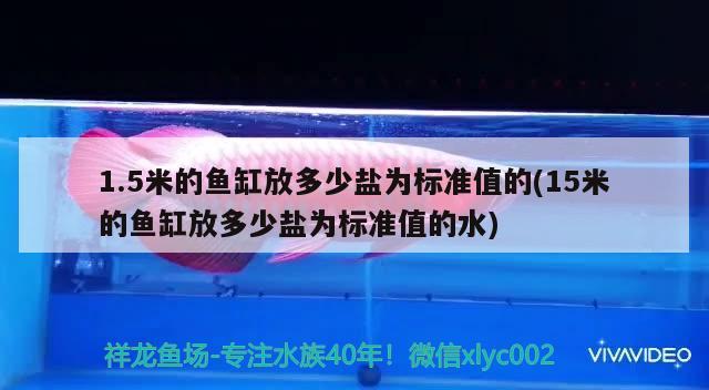 1.5米的魚缸放多少鹽為標準值的(15米的魚缸放多少鹽為標準值的水) 祥龍水族醫(yī)院