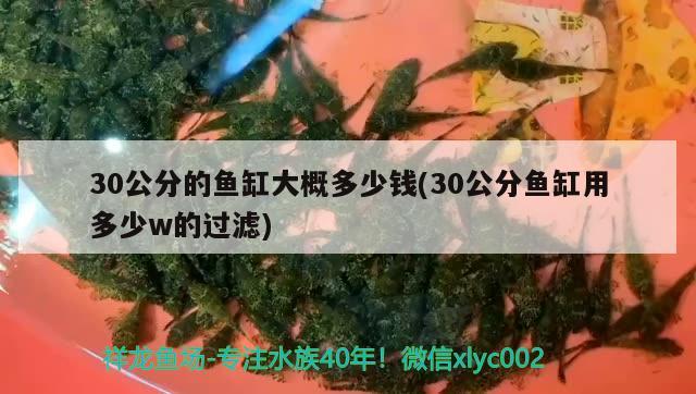 30公分的魚(yú)缸大概多少錢(qián)(30公分魚(yú)缸用多少w的過(guò)濾)