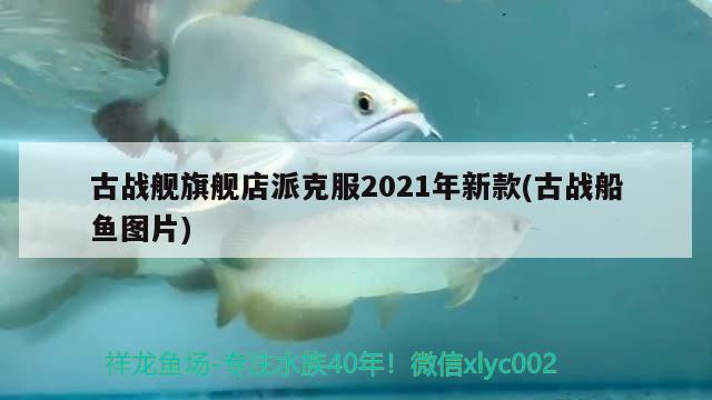 古戰(zhàn)艦旗艦店派克服2021年新款(古戰(zhàn)船魚圖片)