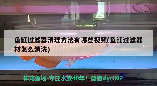 魚缸過濾器清理方法有哪些視頻(魚缸過濾器材怎么清洗) 檸檬鯽