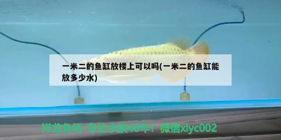 一米二的魚缸放樓上可以嗎(一米二的魚缸能放多少水)