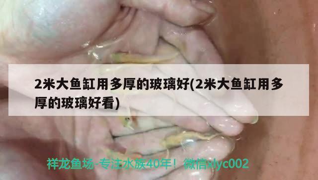 2米大魚缸用多厚的玻璃好(2米大魚缸用多厚的玻璃好看)