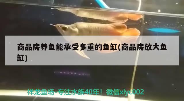 商品房養(yǎng)魚能承受多重的魚缸(商品房放大魚缸)