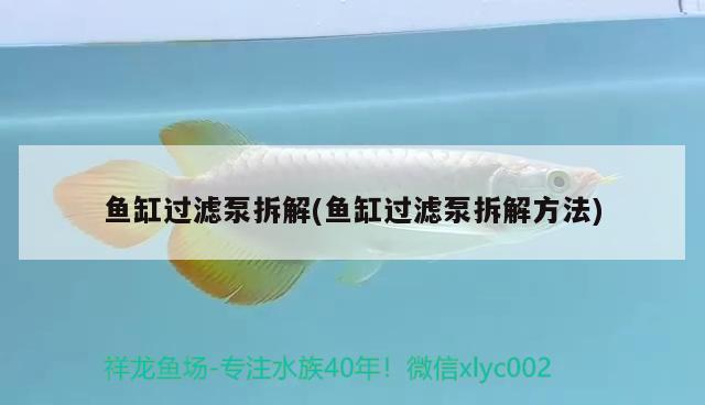 魚缸過濾泵拆解(魚缸過濾泵拆解方法)