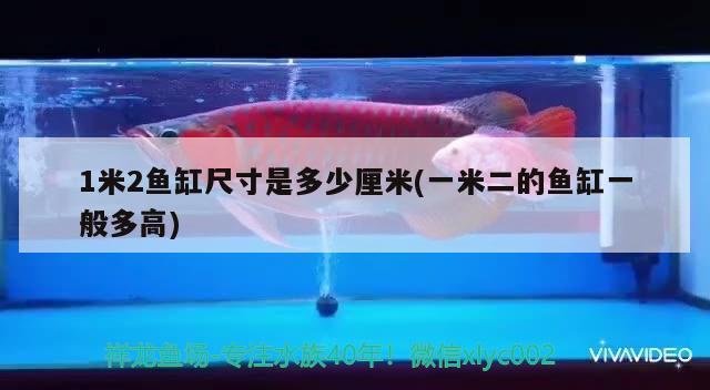 1米2魚缸尺寸是多少厘米(一米二的魚缸一般多高)