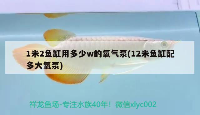 1米2魚缸用多少w的氧氣泵(12米魚缸配多大氧泵)