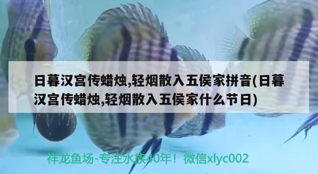 日暮漢宮傳蠟燭,輕煙散入五侯家拼音(日暮漢宮傳蠟燭,輕煙散入五侯家什么節(jié)日)