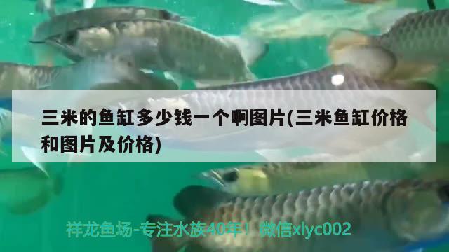 三米的魚(yú)缸多少錢(qián)一個(gè)啊圖片(三米魚(yú)缸價(jià)格和圖片及價(jià)格) 白子紅龍魚(yú)