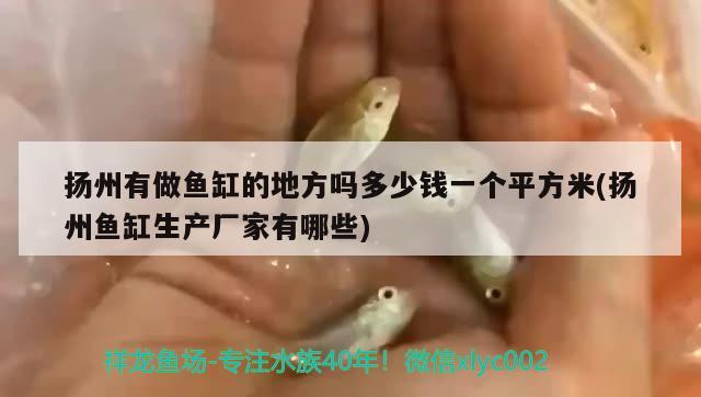 揚(yáng)州有做魚缸的地方嗎多少錢一個平方米(揚(yáng)州魚缸生產(chǎn)廠家有哪些) 觀賞魚市場