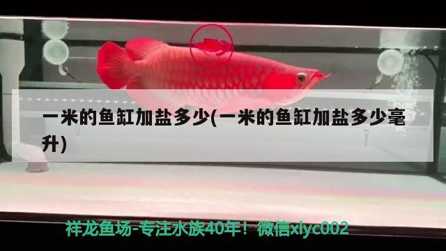 一米的魚(yú)缸加鹽多少(一米的魚(yú)缸加鹽多少毫升)