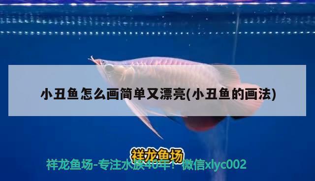 小丑魚怎么畫簡單又漂亮(小丑魚的畫法)