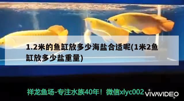 1.2米的魚缸放多少海鹽合適呢(1米2魚缸放多少鹽重量) 2024第28屆中國國際寵物水族展覽會CIPS（長城寵物展2024 CIPS）