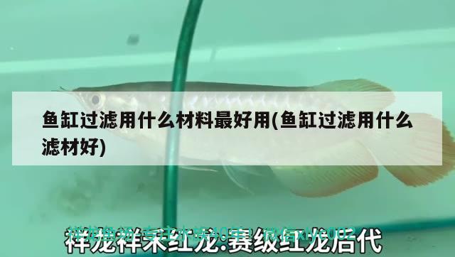 魚(yú)缸過(guò)濾用什么材料最好用(魚(yú)缸過(guò)濾用什么濾材好)