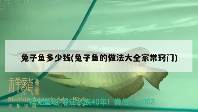 兔子魚多少錢(兔子魚的做法大全家常竅門) 觀賞魚