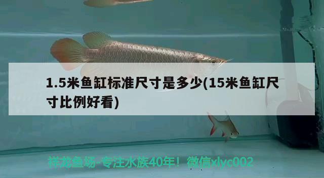 1.5米魚缸標(biāo)準(zhǔn)尺寸是多少(15米魚缸尺寸比例好看)