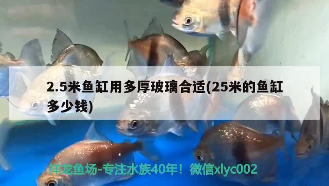 2.5米魚缸用多厚玻璃合適(25米的魚缸多少錢)