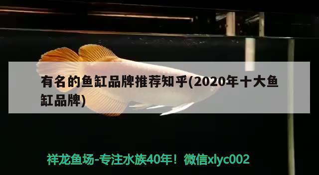 有名的魚缸品牌推薦知乎(2020年十大魚缸品牌) 黑云魚