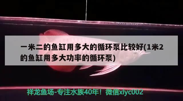 一米二的魚缸用多大的循環(huán)泵比較好(1米2的魚缸用多大功率的循環(huán)泵)