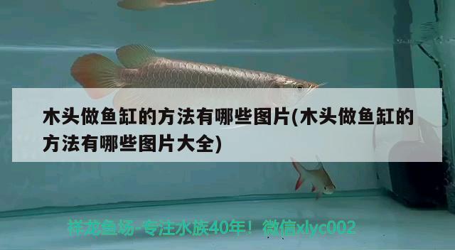 木頭做魚缸的方法有哪些圖片(木頭做魚缸的方法有哪些圖片大全) 廣州水族批發(fā)市場