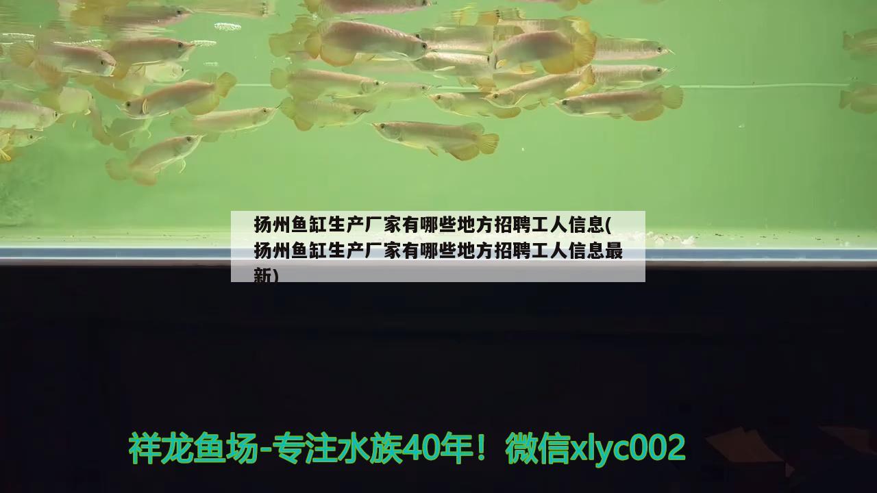 揚(yáng)州魚缸生產(chǎn)廠家有哪些地方招聘工人信息(揚(yáng)州魚缸生產(chǎn)廠家有哪些地方招聘工人信息最新)