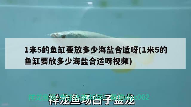 1米5的魚缸要放多少海鹽合適呀(1米5的魚缸要放多少海鹽合適呀視頻) 月光鴨嘴魚