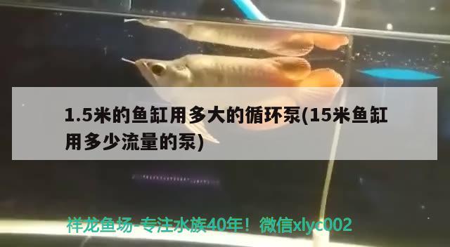 1.5米的魚(yú)缸用多大的循環(huán)泵(15米魚(yú)缸用多少流量的泵)