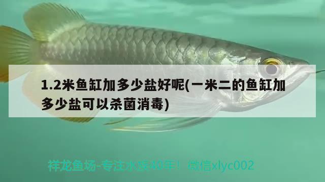 1.2米魚缸加多少鹽好呢(一米二的魚缸加多少鹽可以殺菌消毒)