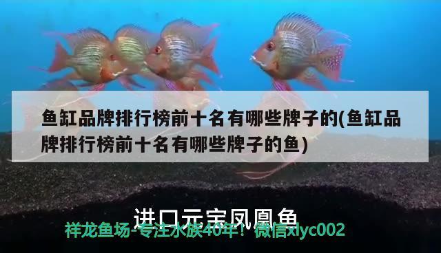 魚(yú)缸品牌排行榜前十名有哪些牌子的(魚(yú)缸品牌排行榜前十名有哪些牌子的魚(yú))