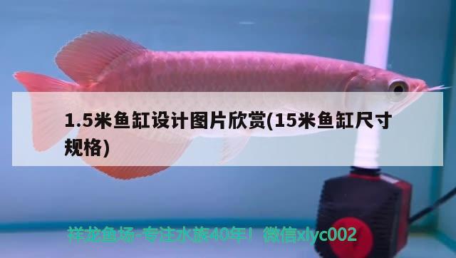 1.5米魚缸設(shè)計圖片欣賞(15米魚缸尺寸規(guī)格)