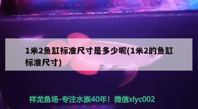 1米2魚缸標準尺寸是多少呢(1米2的魚缸標準尺寸)