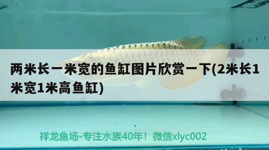 兩米長一米寬的魚缸圖片欣賞一下(2米長1米寬1米高魚缸)