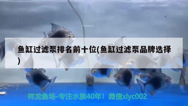 魚缸過濾泵排名前十位(魚缸過濾泵品牌選擇)